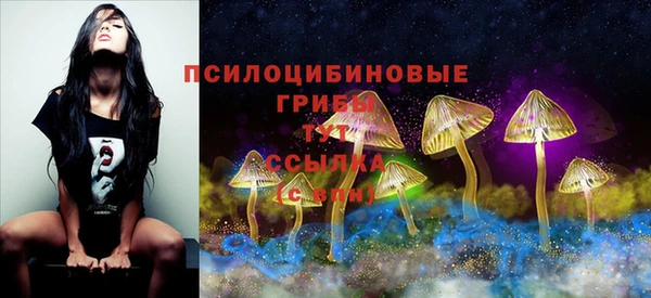 ALPHA PVP Белокуриха