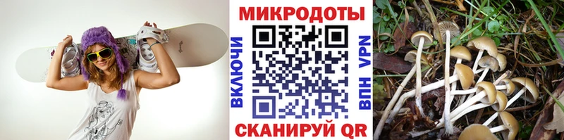 Галлюциногенные грибы мухоморы  Карпинск 
